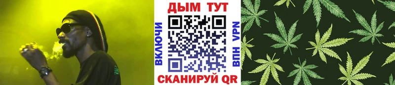 Шишки марихуана план  где купить наркоту  Приозерск 